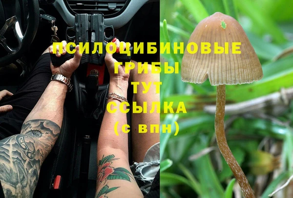 гашик Алексеевка