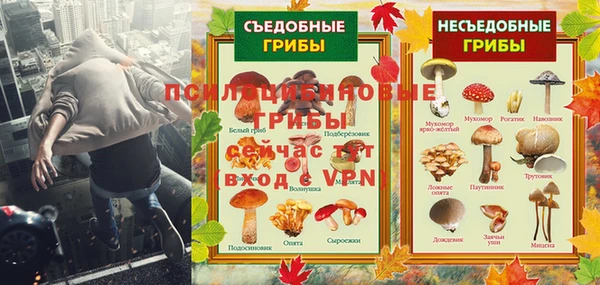 гашик Алексеевка