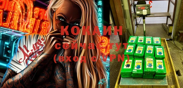 гашик Алексеевка