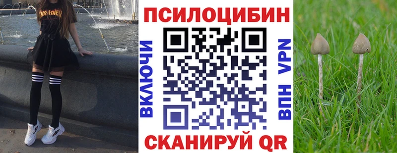 Псилоцибиновые грибы мухоморы сколько стоит Наволоки
