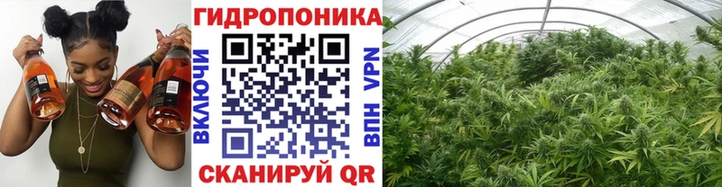 Бошки марихуана марихуана  даркнет сайт  Наволоки 